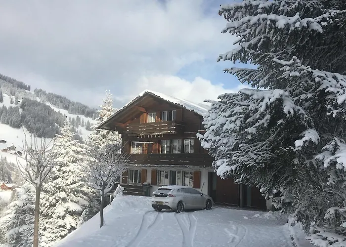 Apartment Shalom By Interhome Adelboden